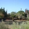 Ianouarios-new-large-sin-anthoupolis-004.jpg