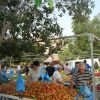 diafores2-055.jpg